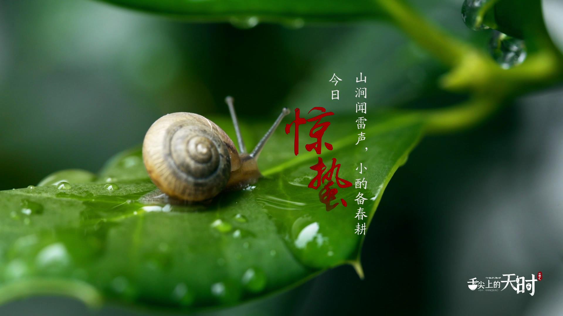 &#20061;&#28216;&#23448;&#26041;&#32593;&#39029;&#29256;&#45;&#20061;&#28216;&#40;&#20013;&#22269;&#41;